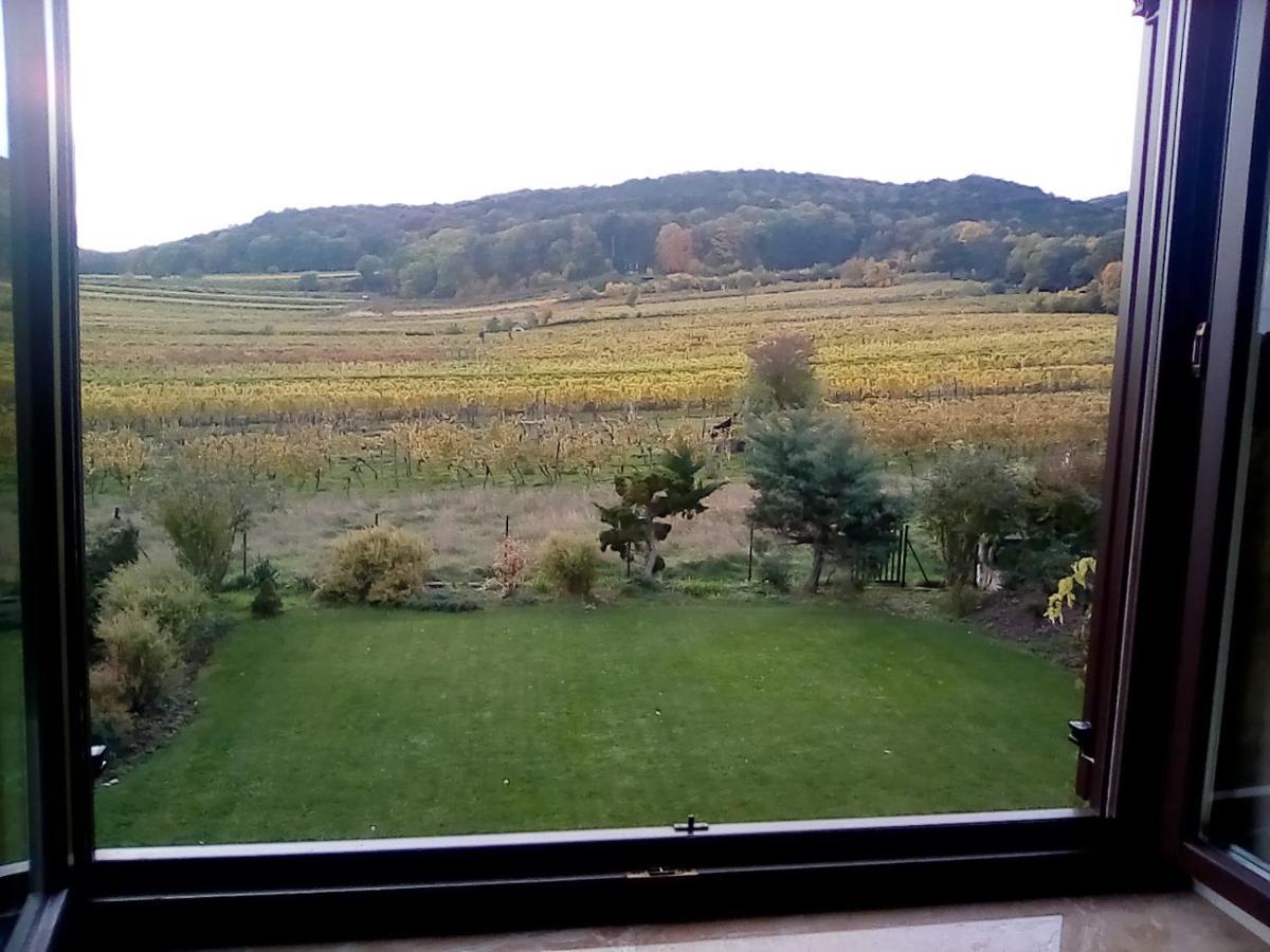 Top Over Vienna, Perchtoldsdorf Weinberge Ideal With Car Leilighet Eksteriør bilde