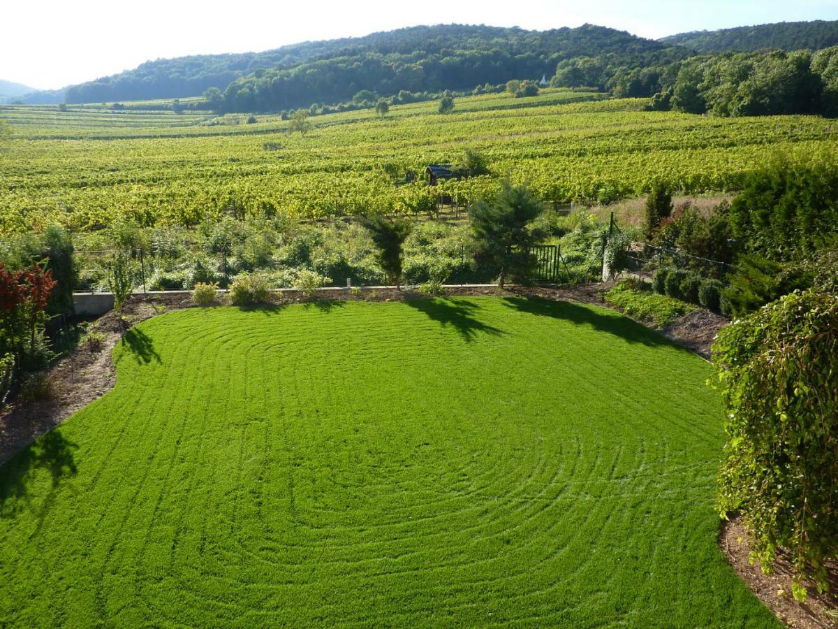 Top Over Vienna, Perchtoldsdorf Weinberge Ideal With Car Leilighet Eksteriør bilde